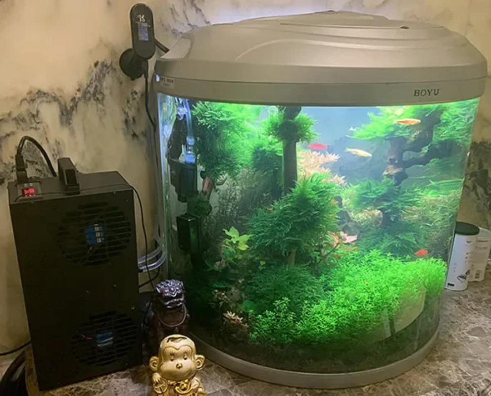 Aquarium Fish Small - Sabit Sıcaklık Ayarlanabilir Yarı İletken Soğutucu