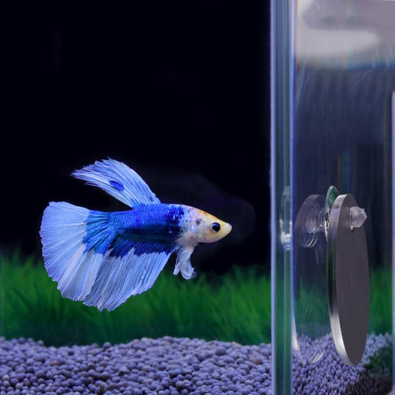 Aquarium Fish Escape - Akvaryum Betta Ayna Balık Tankı Balık