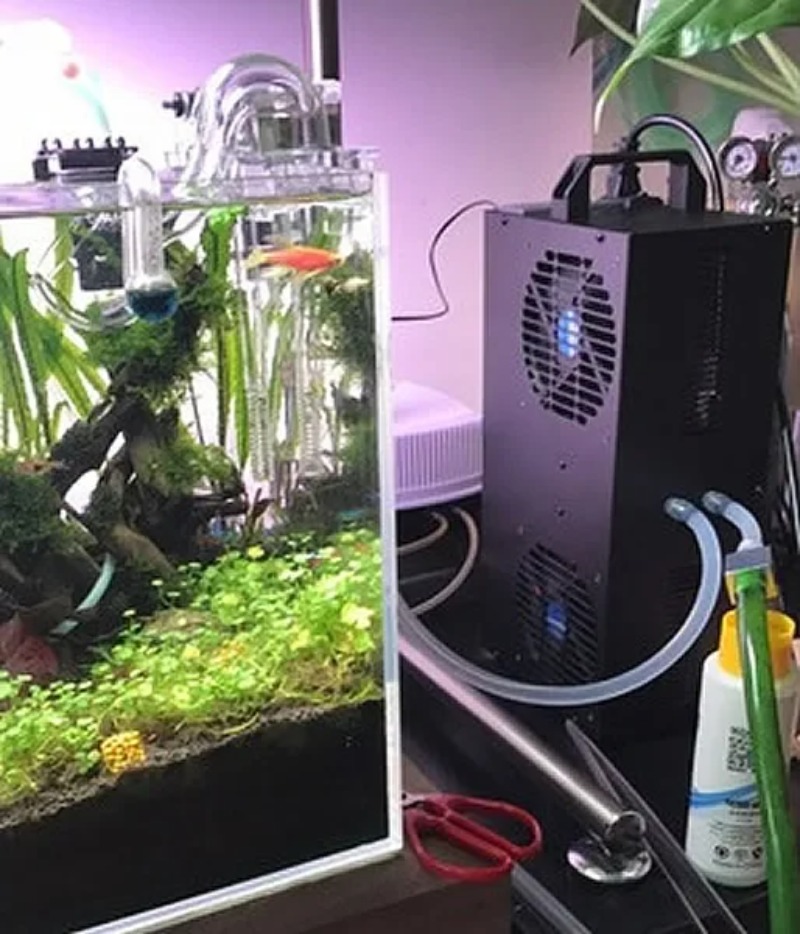 Sabit Sıcaklık Ayarlanabilir Y - Aquarium Fish Small incelemesi ve fiyatı