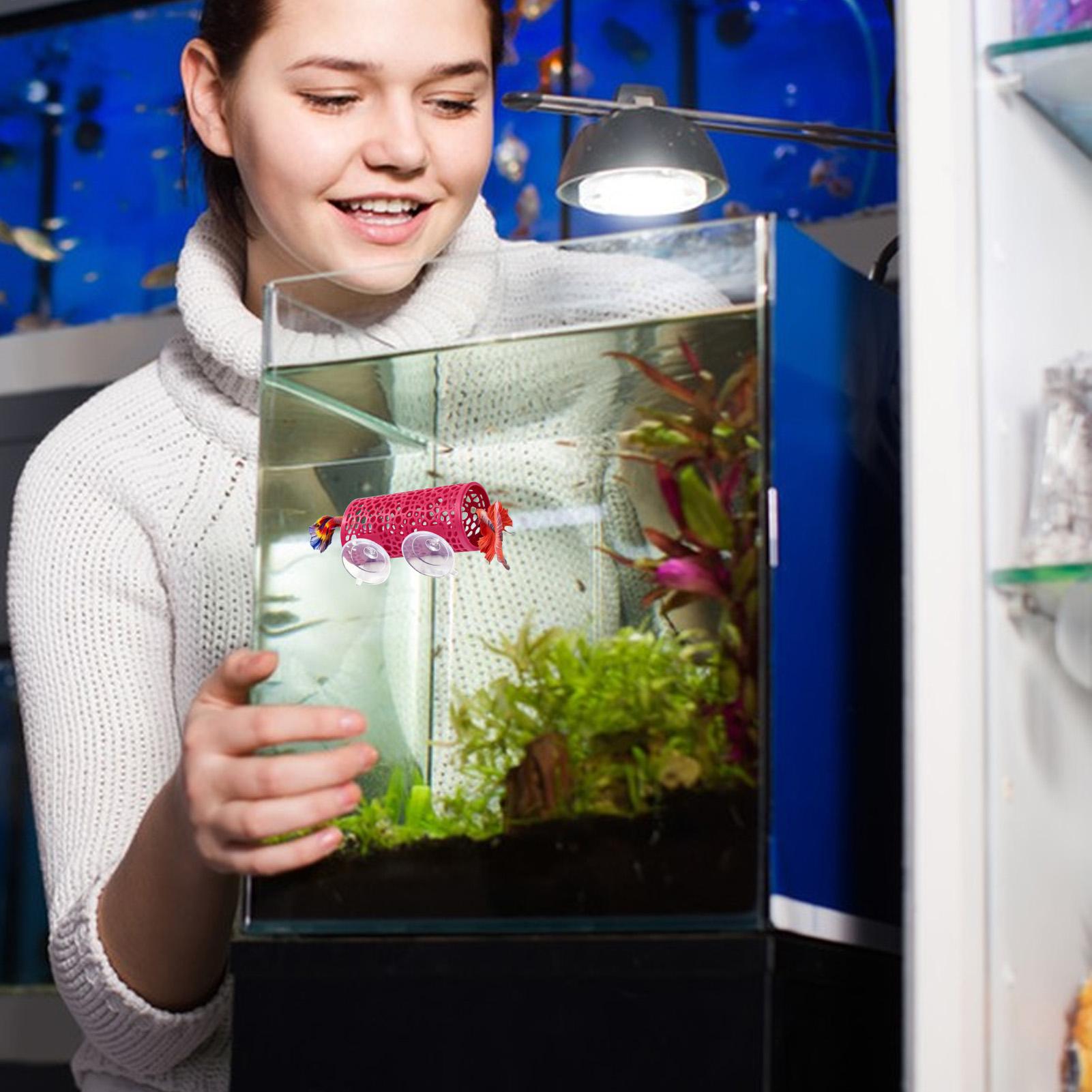 Betta Habitat Dinlenme Barınağ - Aquarium Fish Small incelemesi ve fiyatı