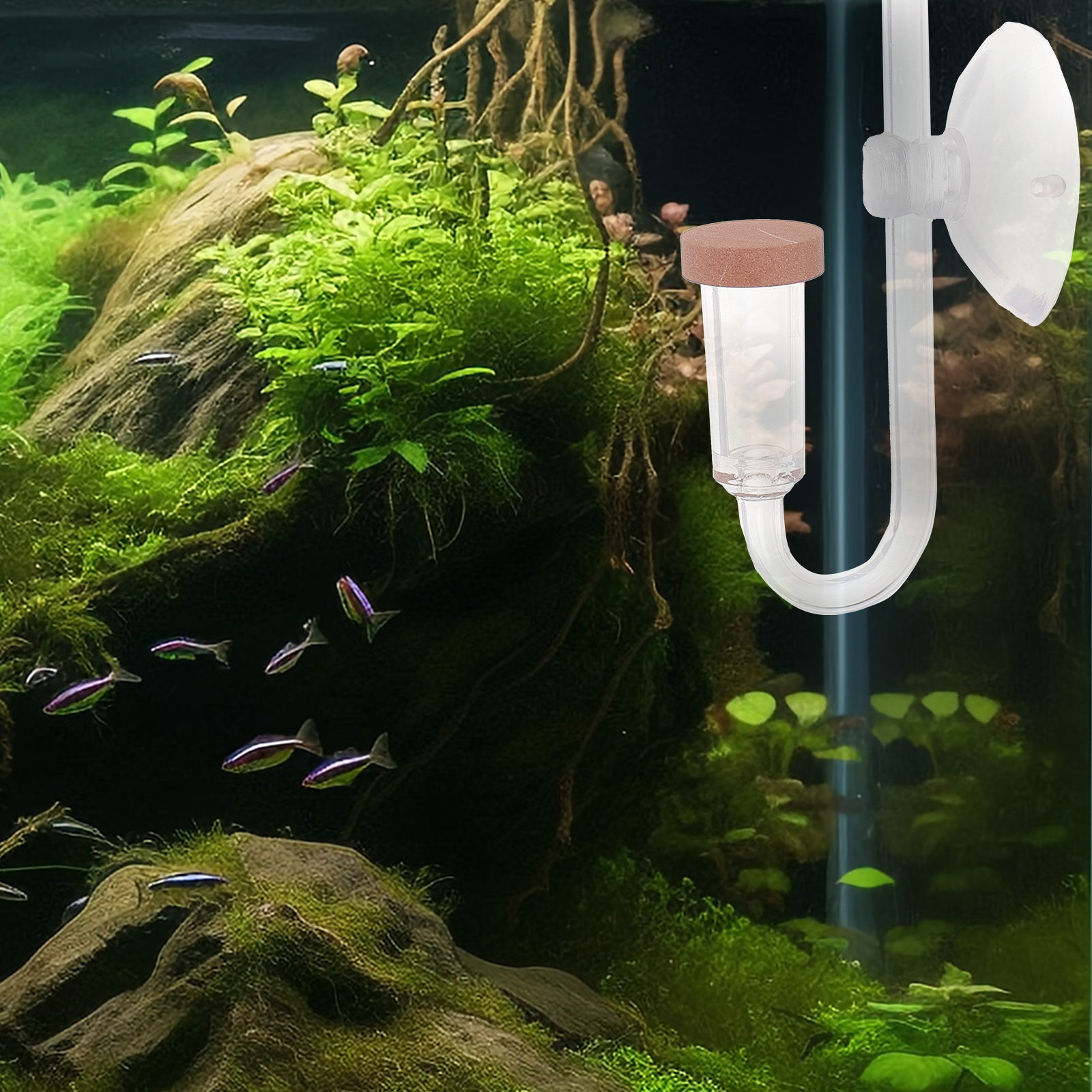 Balık Tankı Co2 Arıtıcı Şeffaf - Aquarium Fish Rate incelemesi ve fiyatı