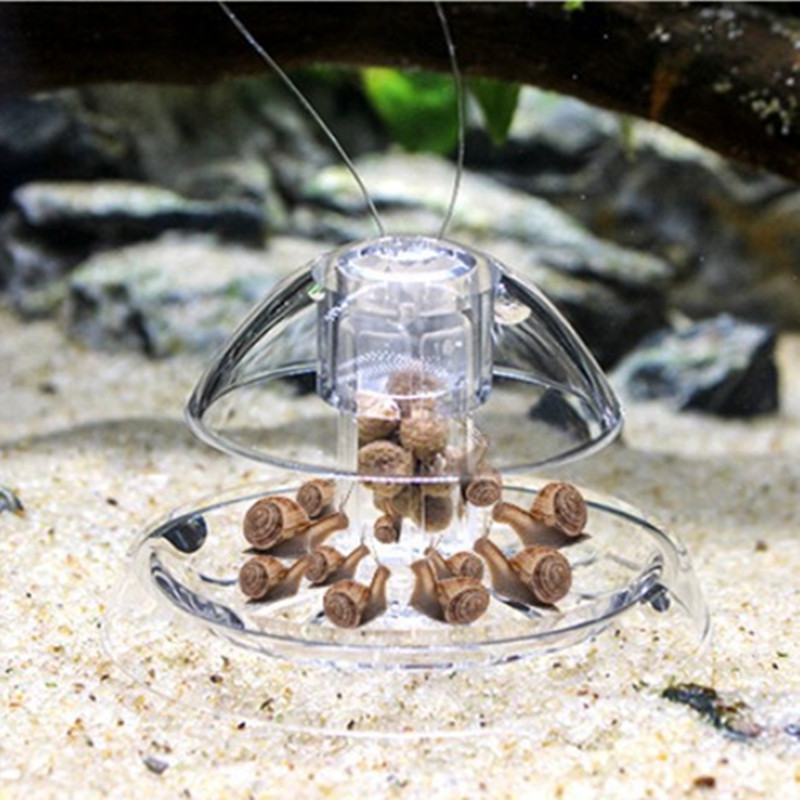 1 adet balık tankı akvaryum te - Aquarium Fish Escape incelemesi ve fiyatı