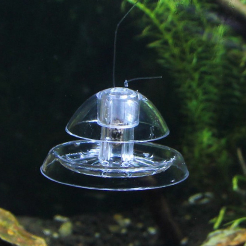 1 adet balık tankı akvaryum te - Aquarium Fish Escape incelemesi ve fiyatı