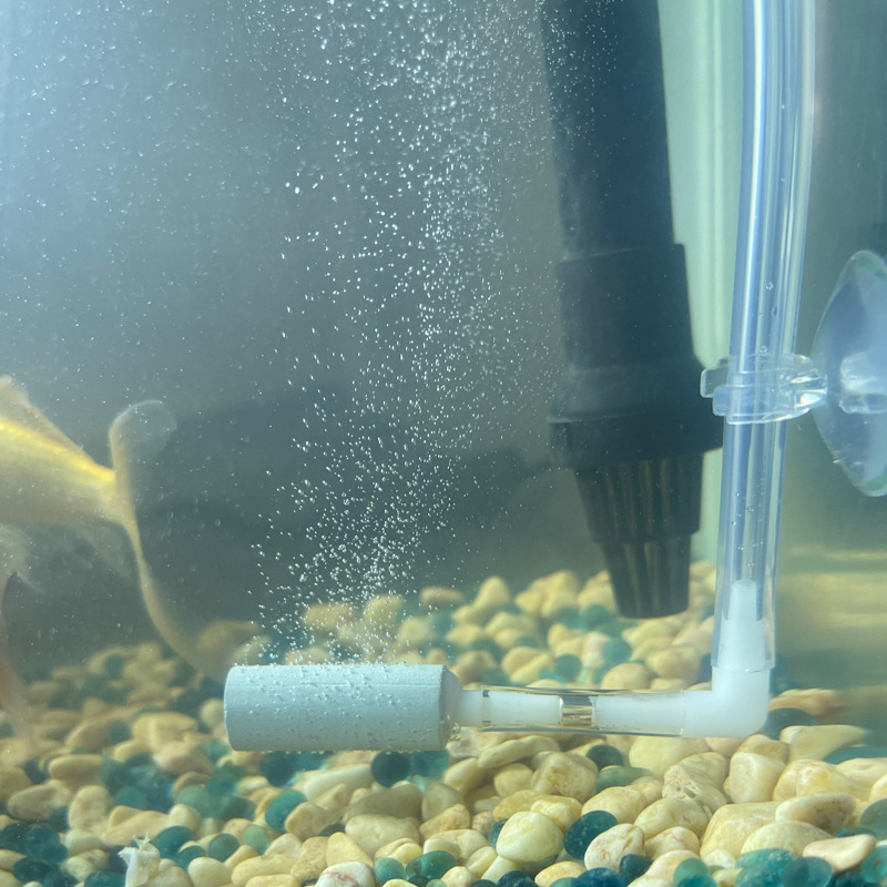 CO2 Sistem Regülatörü Mükemmel - Aquarium Fish Rate incelemesi ve fiyatı