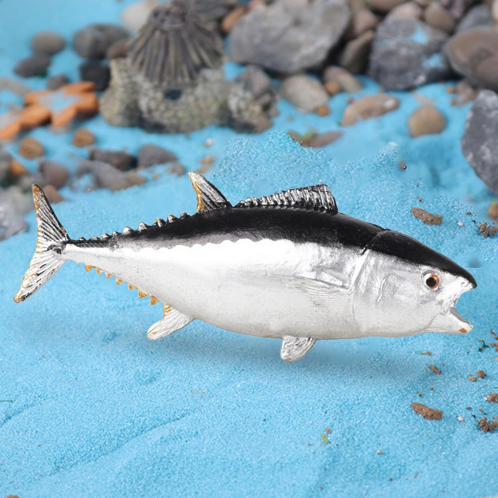 Akvaryum Süslemeleri Bilişsel  - Aquarium Fish Small incelemesi ve fiyatı