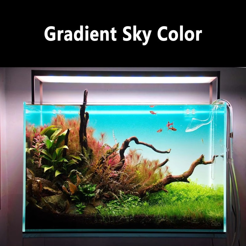 Akvaryum Balık Tankı Akrilik G - Aquarium Fish Rate incelemesi ve fiyatı