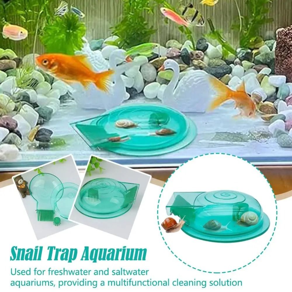 Tatlı su tuzlu su akvaryumu sa - Aquarium Fish Escape incelemesi ve fiyatı