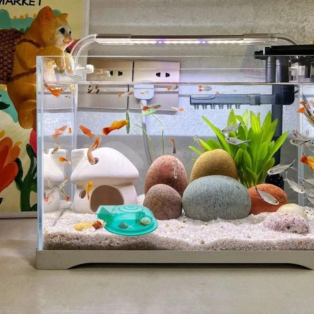 Tatlı su tuzlu su akvaryumu sa - Aquarium Fish Escape incelemesi ve fiyatı