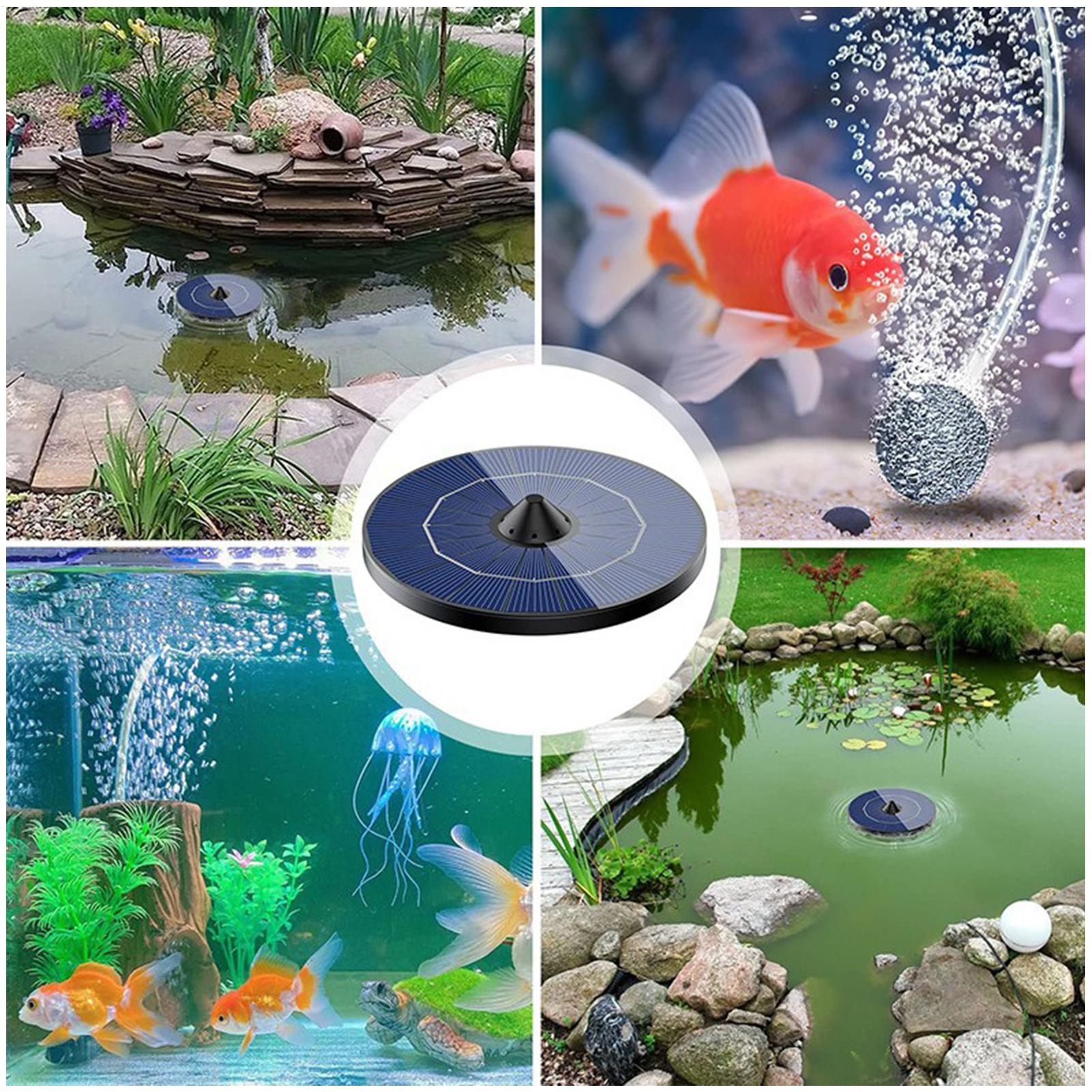 Güneş enerjili havuz havalandı - Aquarium Fish Escape incelemesi ve fiyatı
