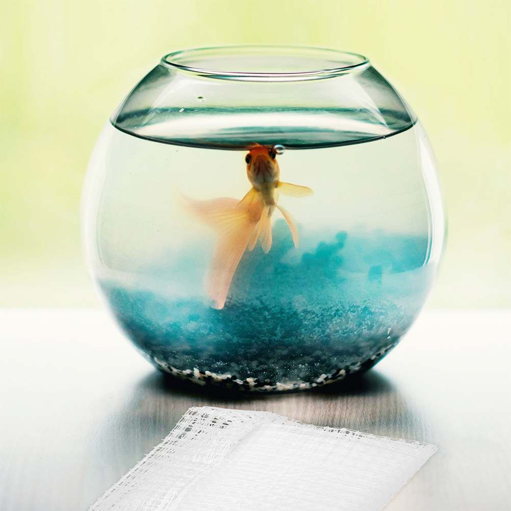 Kendin Yap Balık Tankı Görünme - Aquarium Fish Escape incelemesi ve fiyatı