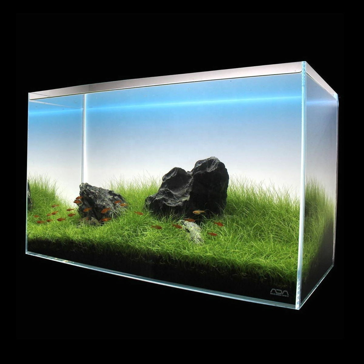 Kaliteli Balık Tankı Akvaryum  - Aquarium Fish Rate incelemesi ve fiyatı