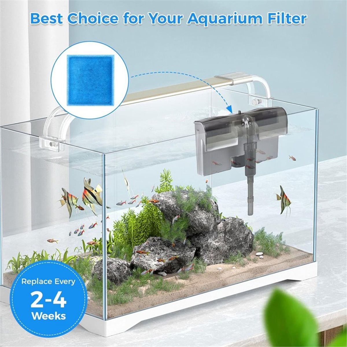 《EN İYİ DERECELENDİRİLMİŞ》10 A - Aquarium Fish Rate incelemesi ve fiyatı