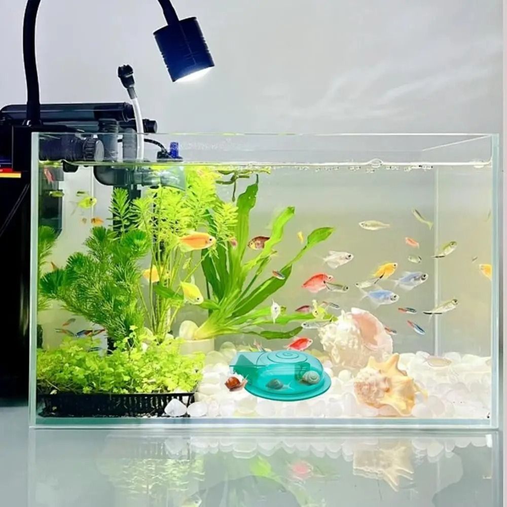 Tatlı Su Tuzlu Su Akvaryumu Sa - Aquarium Fish Escape incelemesi ve fiyatı
