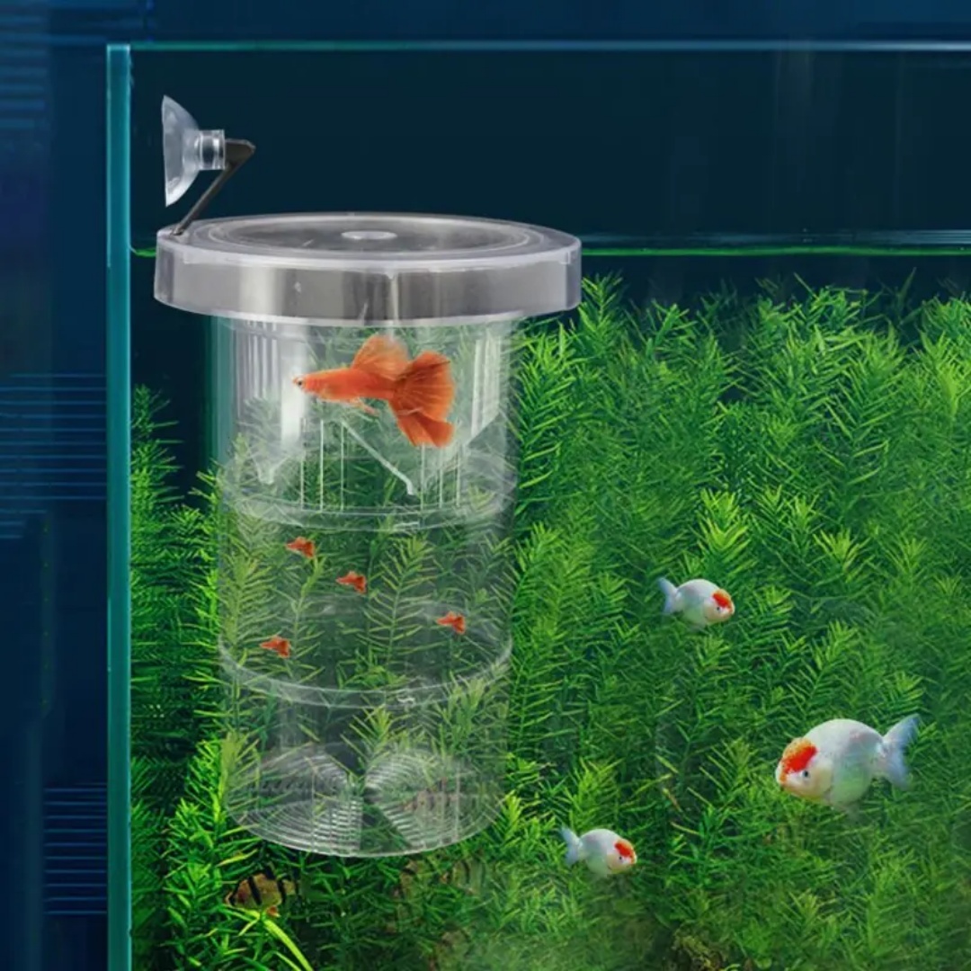 Akrilik Yüzen Balık Yetiştirme - Aquarium Fish Escape incelemesi ve fiyatı