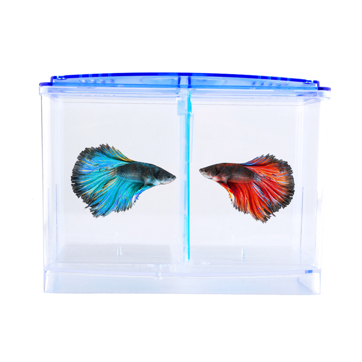 Şeffaf Balık Yetiştirme Kutusu - Aquarium Fish Rate incelemesi ve fiyatı